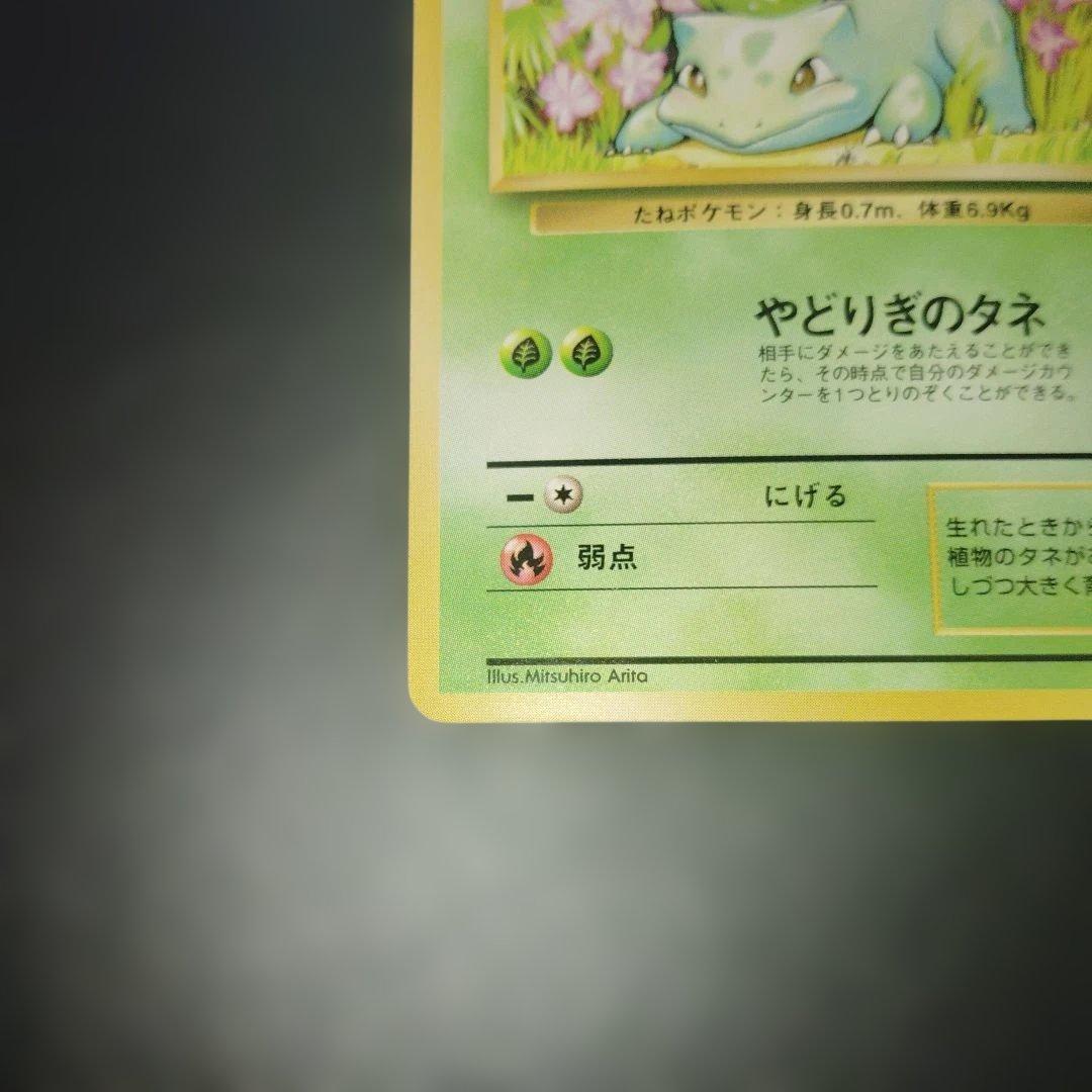美品フシギダネ旧裏　マークなし　ポケモンカード