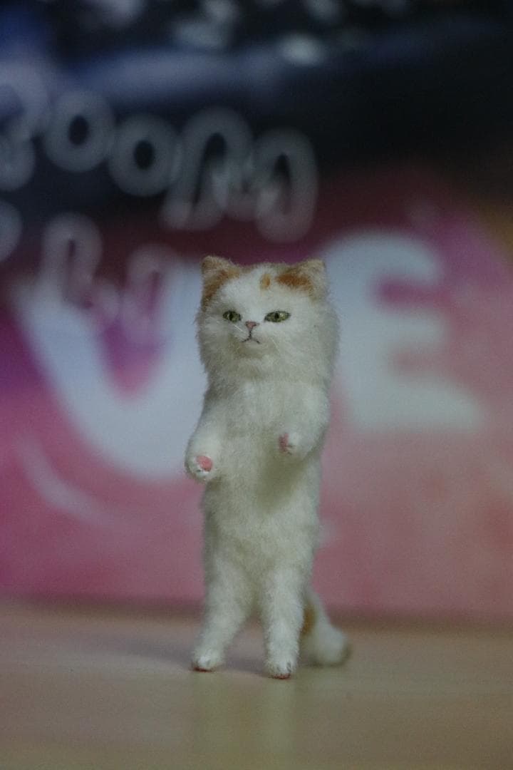 猫　ドール　sandyブライス オダニミユキ、be my baby cherry