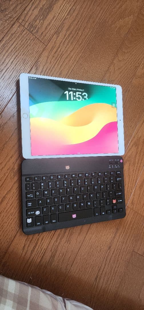 iPad Pro 10.5-inch 64GB Cellular SIMフリー