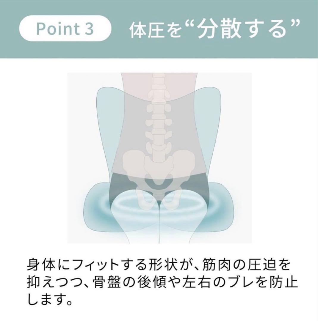 【美品】Style PREMIUM（スタイルプレミアム） ブラウン 骨盤矯正