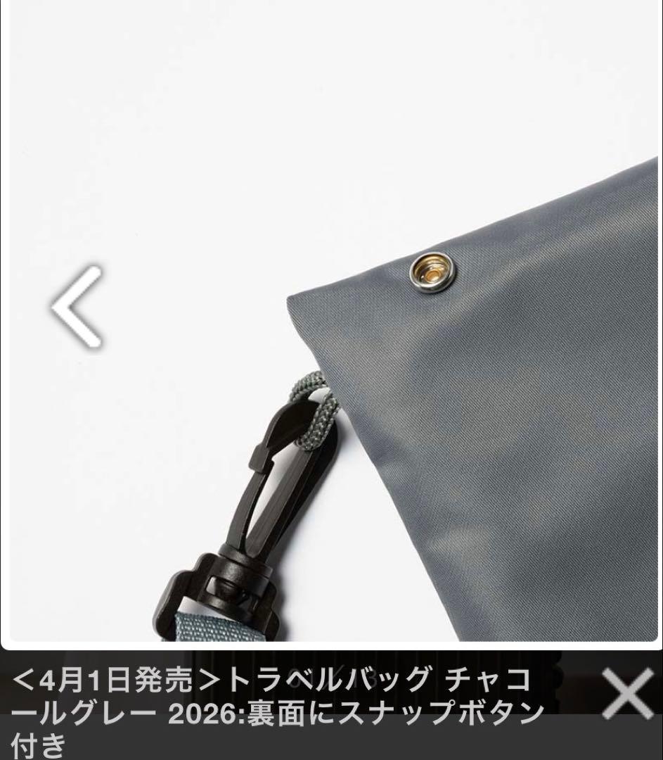 DEAN & DELUCA トラベルバッグ チャコールグレー 2026