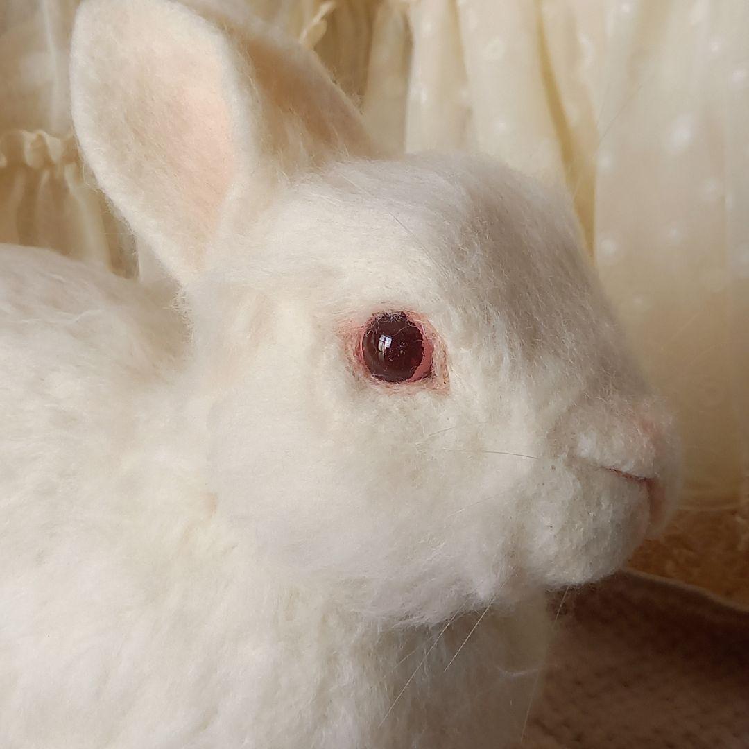 白うさぎ レッドアイ アルビノ 羊毛フェルト ハンドメイド 置物 兎 リアル
