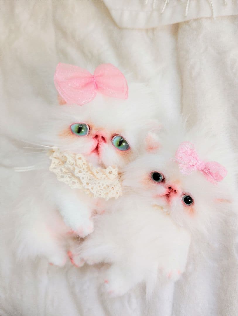 子猫のシュシュちゃんと♡ちっちゃなルーナちゃん♡アートドール♡ぬいぐるみ♡