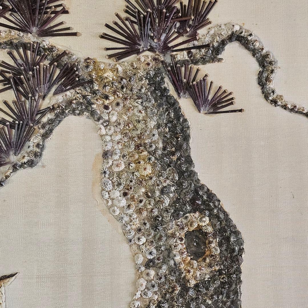 貝殻とウニ殻の立体アート 鹿 松 額入り