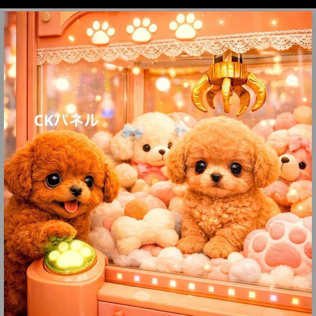 激レアUFO キャッチャーパグ、ポメラニアン、チワワ、トイプー、柴犬、ダックス