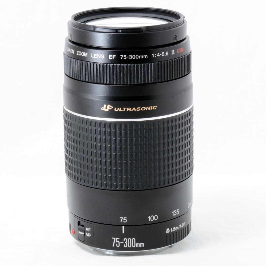 ⭐️実用品⭐️Canon キャノン EF 75-300mm 4-5.6 ⅢUSM