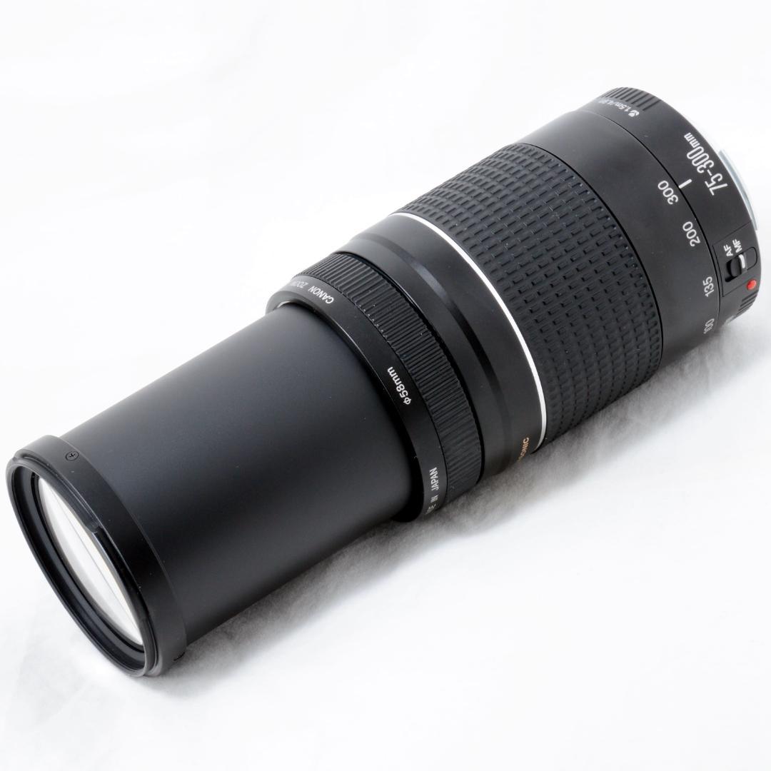 ⭐️実用品⭐️Canon キャノン EF 75-300mm 4-5.6 ⅢUSM
