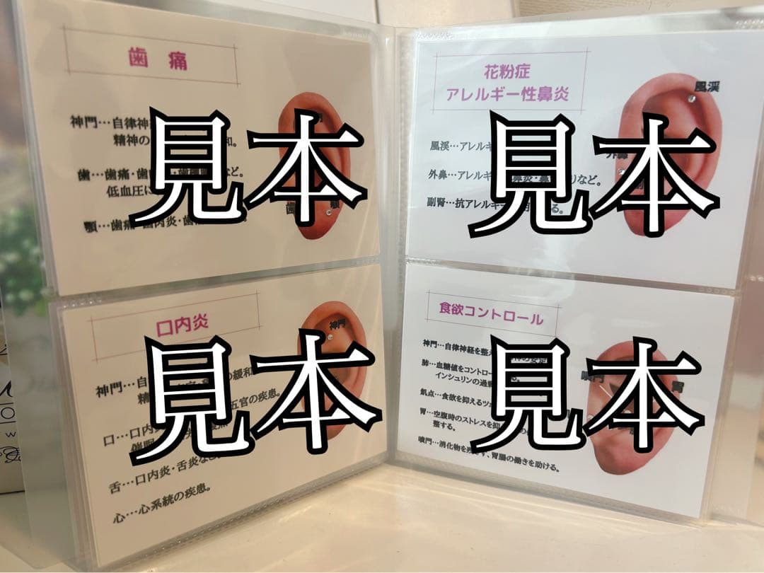 耳ツボジュエリー　ツボガイドブック(アクアマリン)