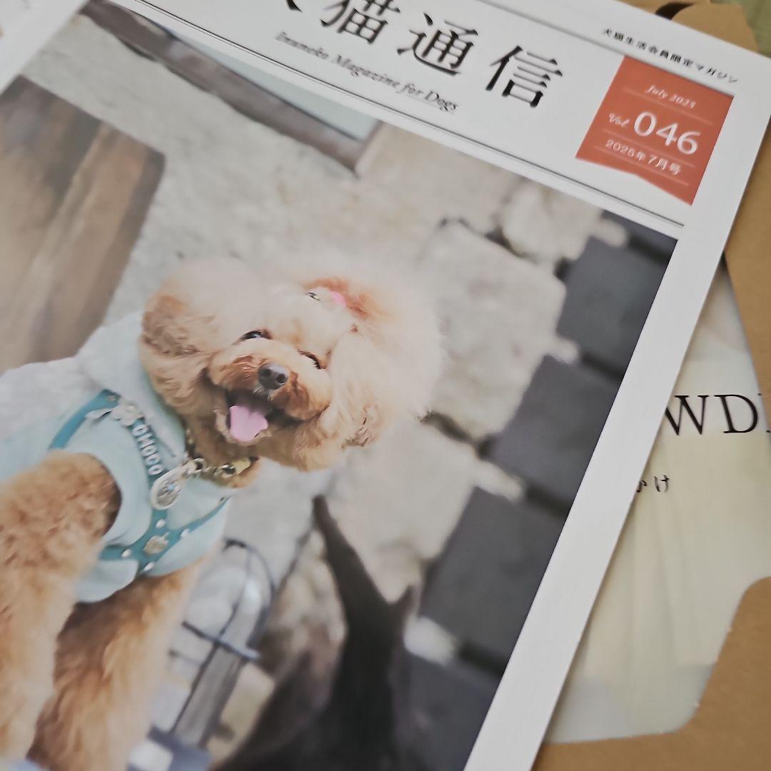 デンタルパウダー 30包入り 犬猫用