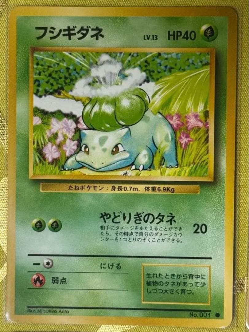 旧裏 ミュウ フシギダネ ヒトカゲ ゼニガメ コイキング トゲピー