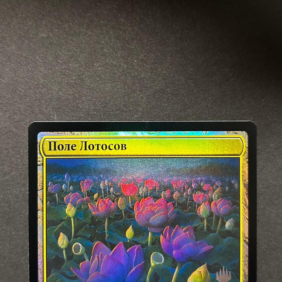ロシア語　睡蓮の原野　プロモFOIL MTG