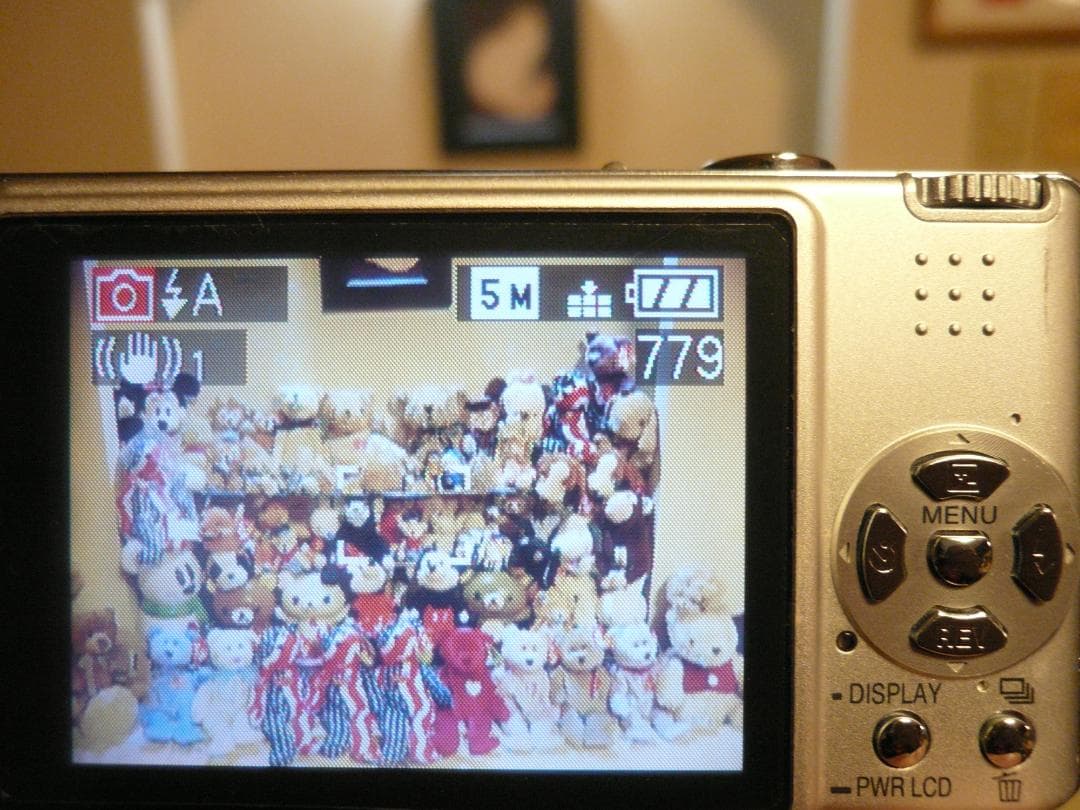 LUMIX★DMC-FX8⭐️まあまあ美品ですが⚠️モニターに染み有★安心実働品