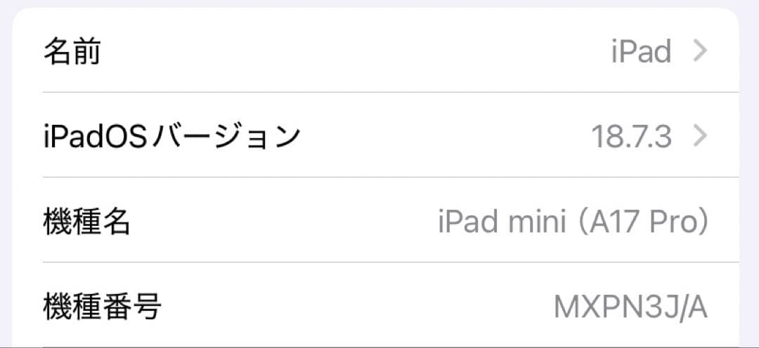 【SIMフリー】iPad mini Cellular 128GB スペースグレイ