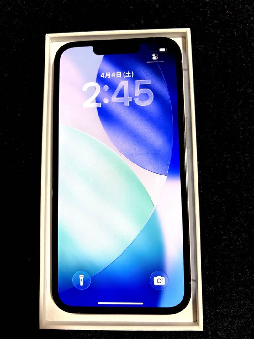 iPhone 13 Pro シエラブルー　256GB 本体
