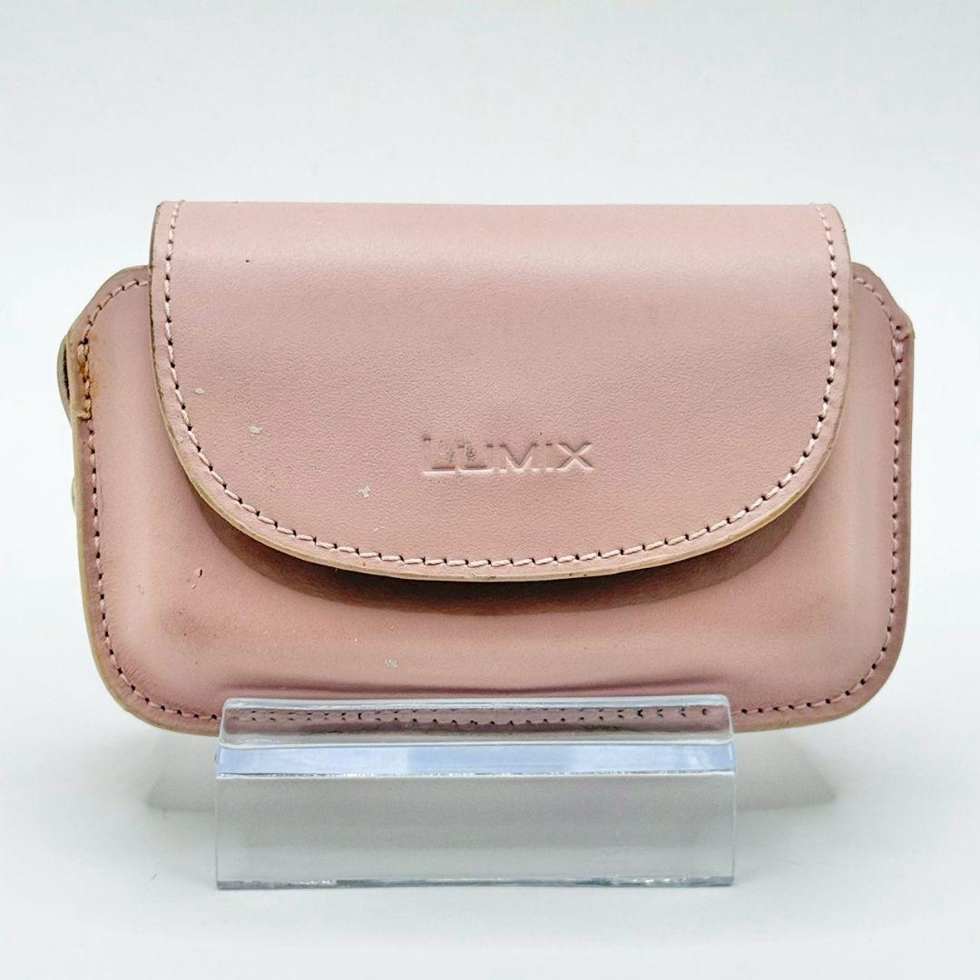 【美品】Panasonic LUMIX DMC-FX07 デジカメ ケース付
