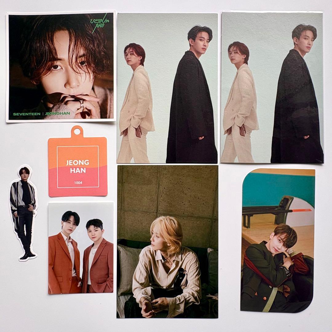 seventeen 缶バッジ　プレミアムフォト　あいのちから　フライヤー　ウォヌ