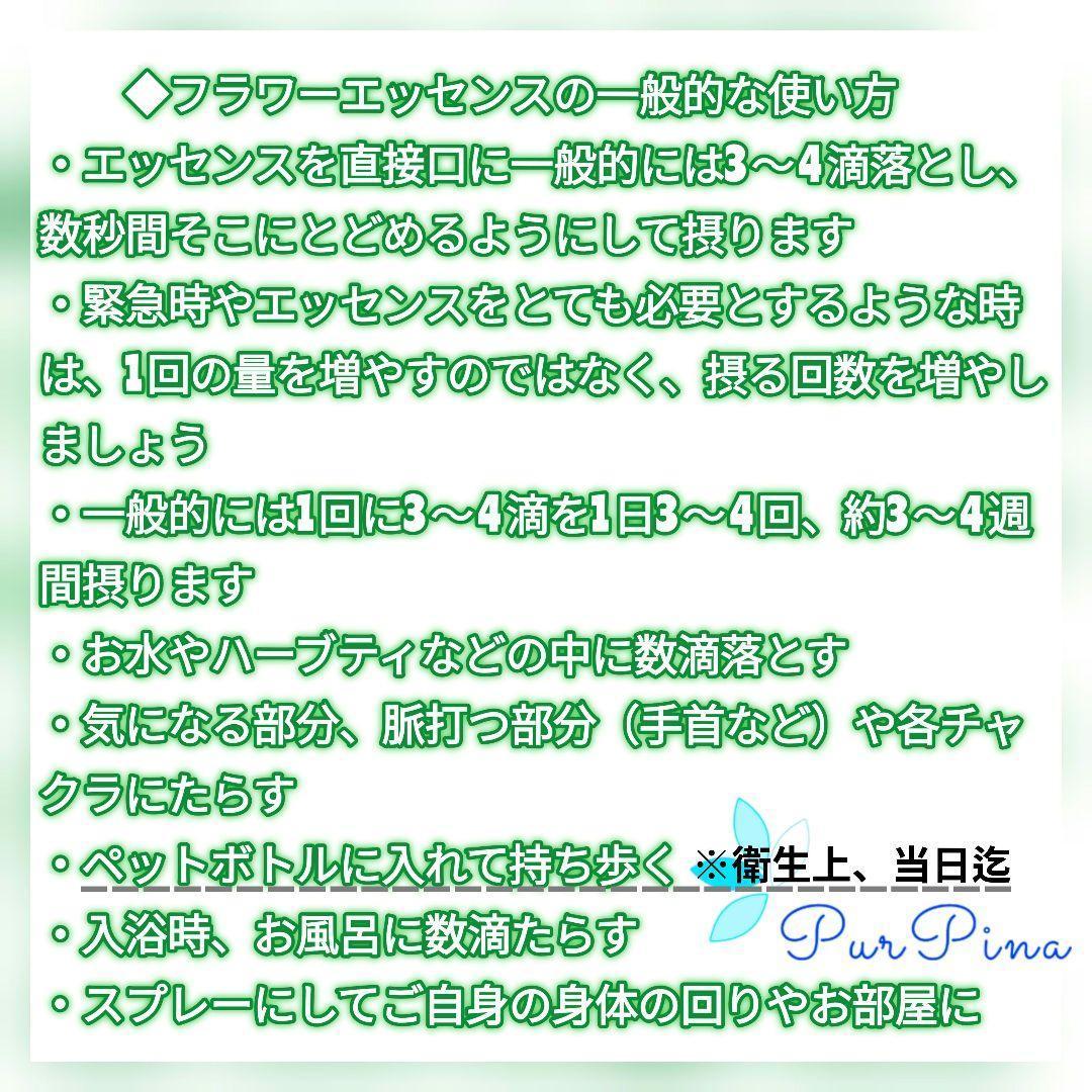 【専用】ＲＱ７&Ｋ９セット　コルテPHI　フラワーエッセンス