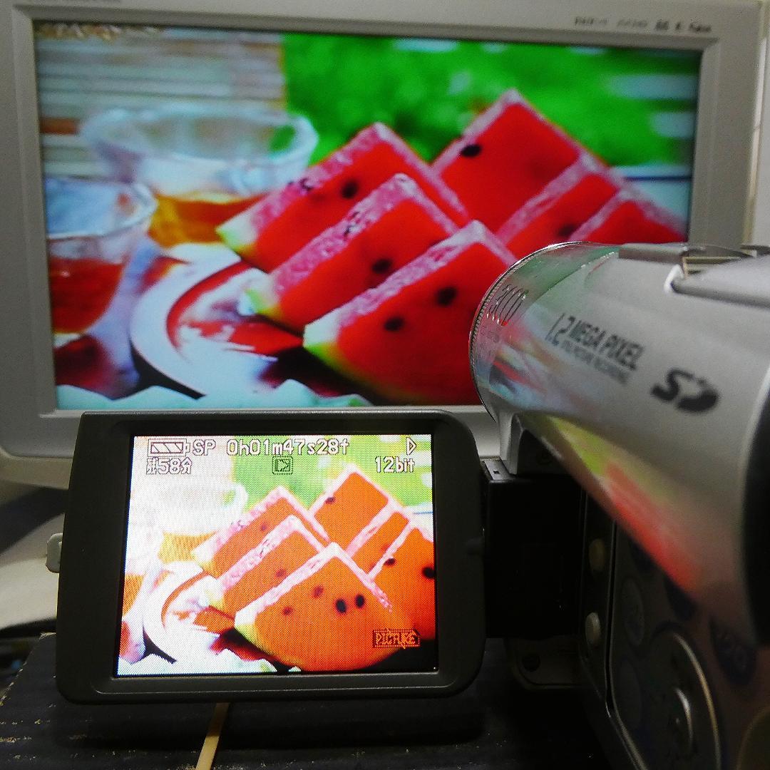 パナソニックNV-GS120動作良好 MiniDVビデオカメラ　ダビングに最適
