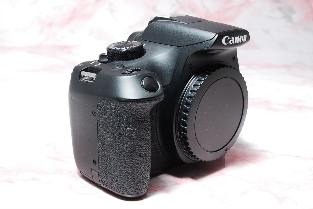 ✨Canon Kiss X80✨標準・超望遠Wレンズ 初心者安心 すぐ撮れる一眼