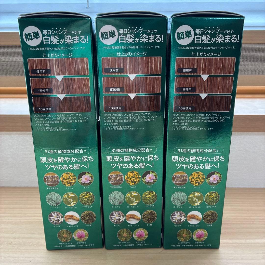 利尻炭酸カラーシャンプー ダークブラウン 180g 3本セット