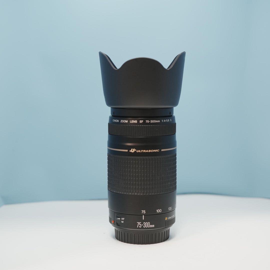 Canon純正 75-300mm 望遠レンズ 美品 a4548