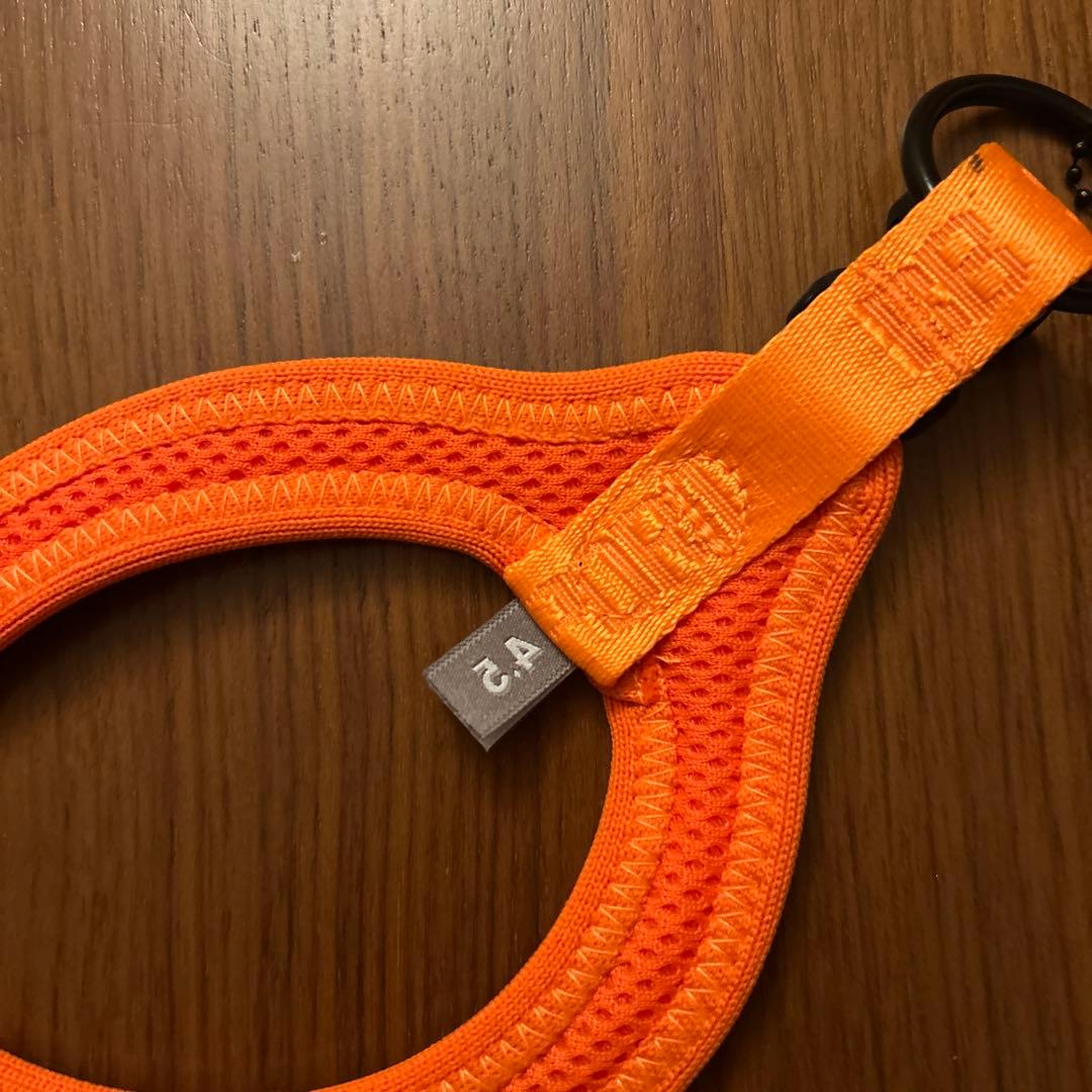 【試着のみ】Buddy Belts バディーベルトスポーツ　4.5号　オレンジ