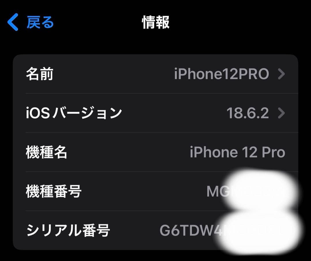 Apple iPhone 12 Pro パシフィックブルー本体　simフリー