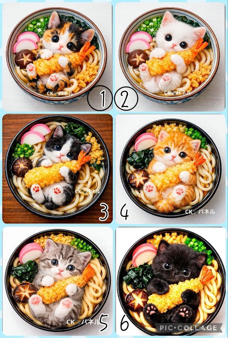 【3月】チロスケ