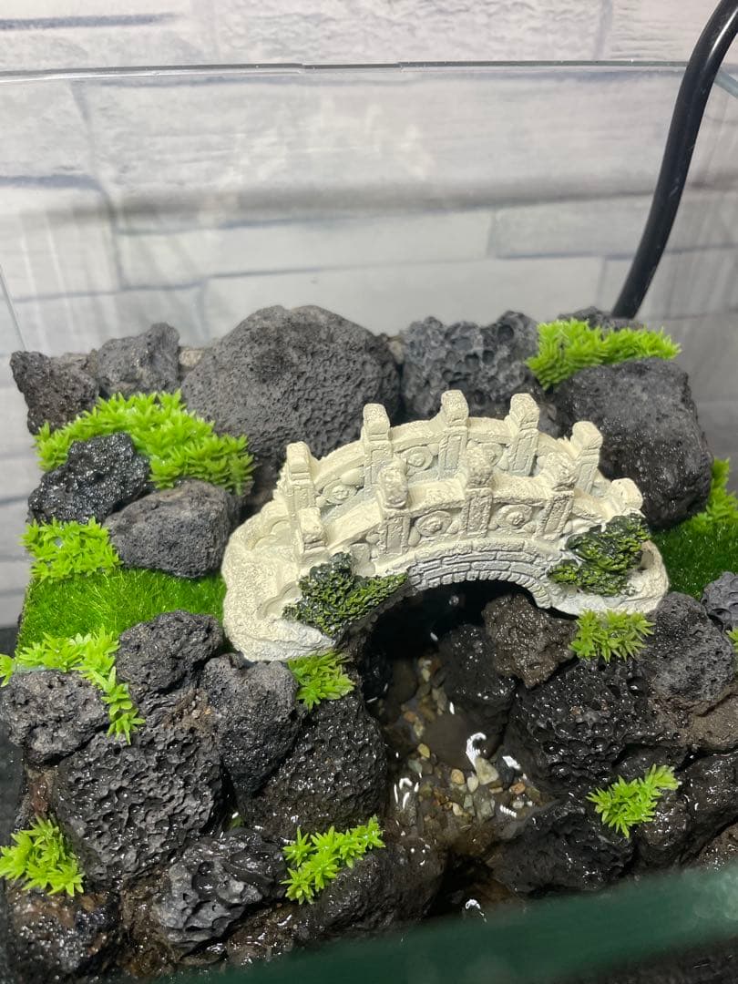 アクアテラリウム　mini 溶岩石　No.1