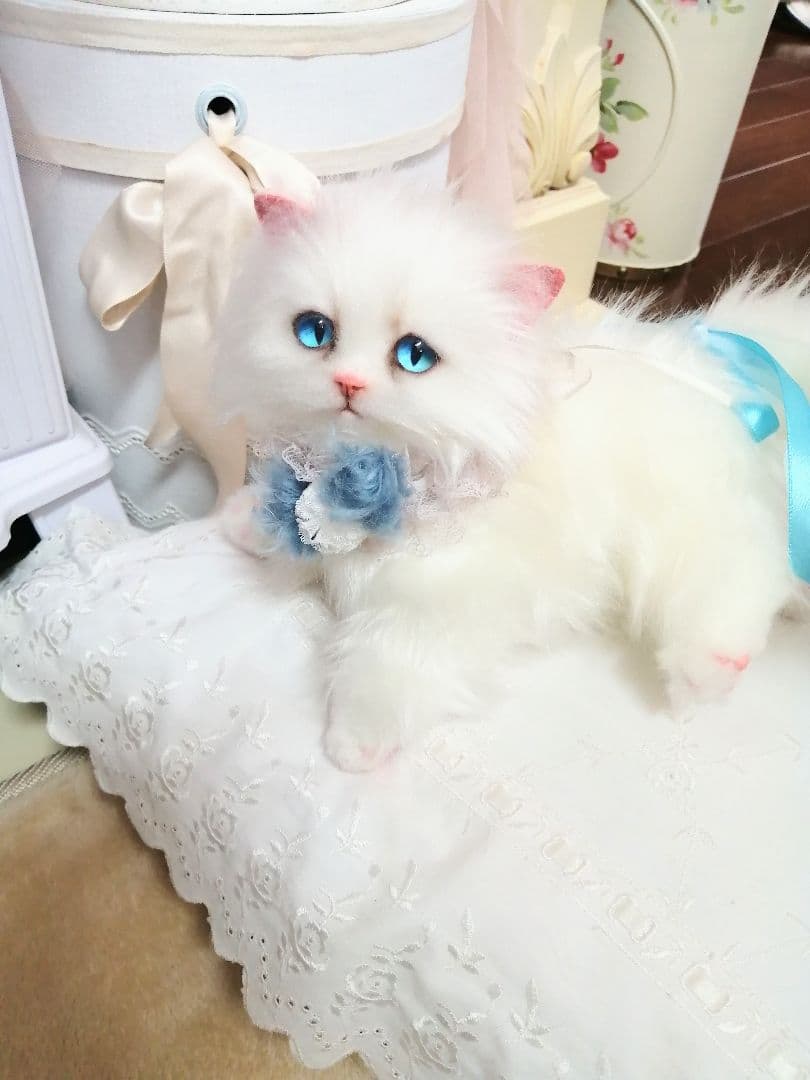 クルトン様❤️オーダー❤️ミゾレ君♡白猫ちゃん♡アートドール♡ぬいぐるみ♡
