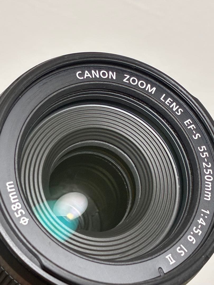 ⭐️美品⭐️ Canon EF-S 55-250mm IS II 手ぶれ補正付き望遠