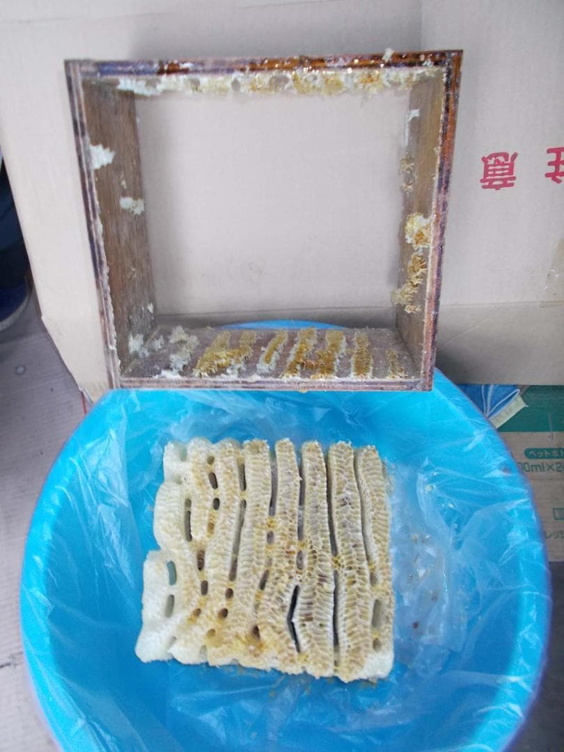 ★日本蜜蜂巣箱・ミツバチ・みつばち巣箱★