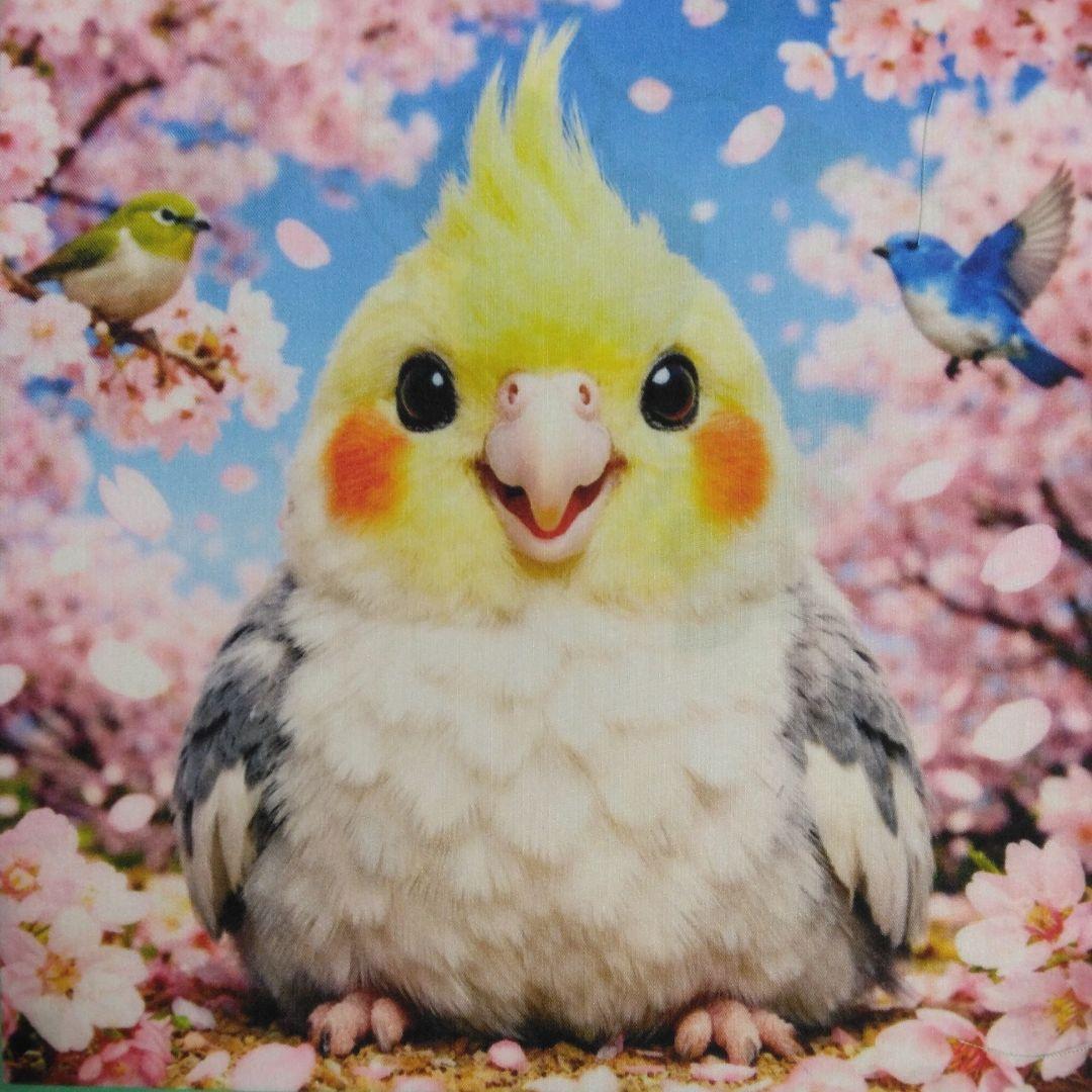 ☆受付☆インコ