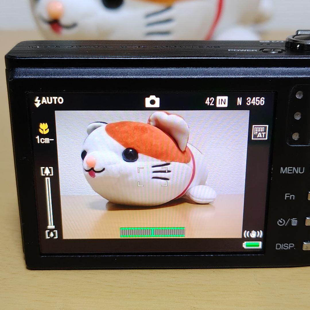 【良品 動作確認済】リコー CX2 オールドコンデジ 専用ケース ブラック