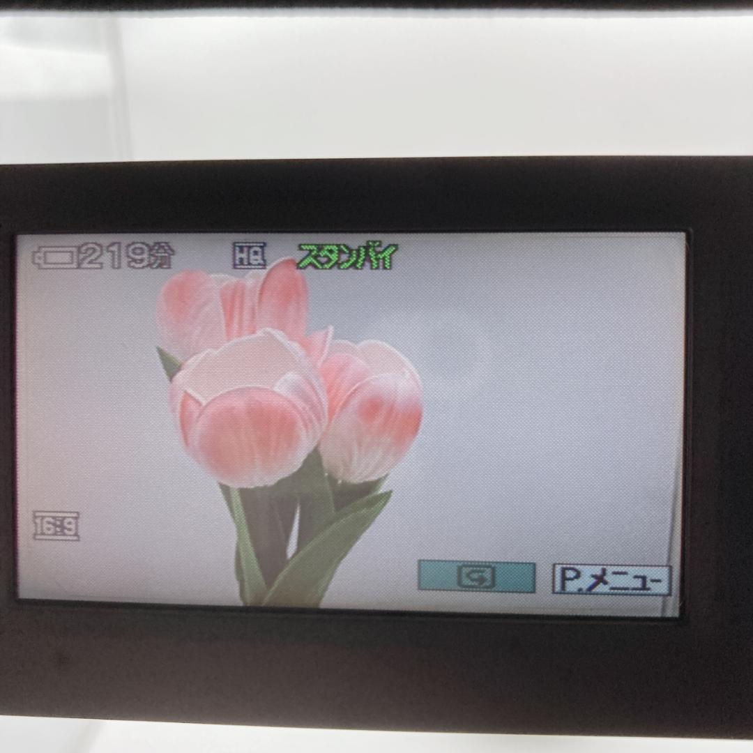 【美品】SONYソニー Handycam デジタルビデオカメラ DCR-SR60