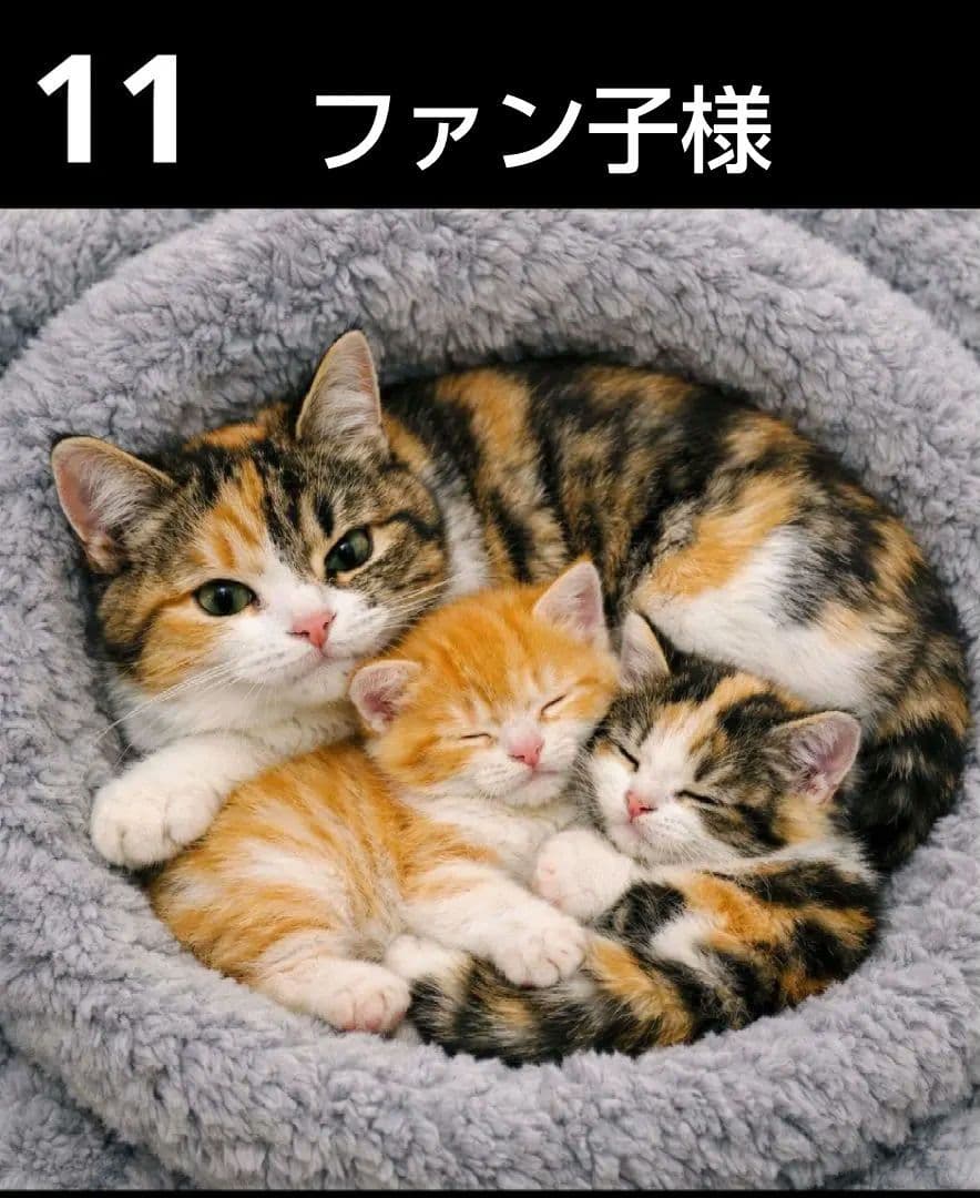 オーダーページ　ハンカチ　314 ねこちゃん柄　ハンドメイド　2/2