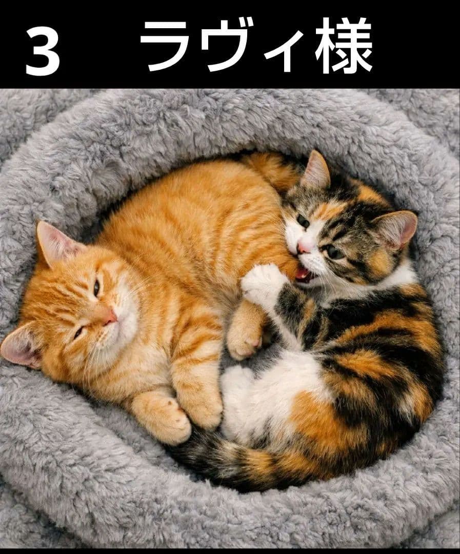 オーダーページ　ハンカチ　314 ねこちゃん柄　ハンドメイド　2/2