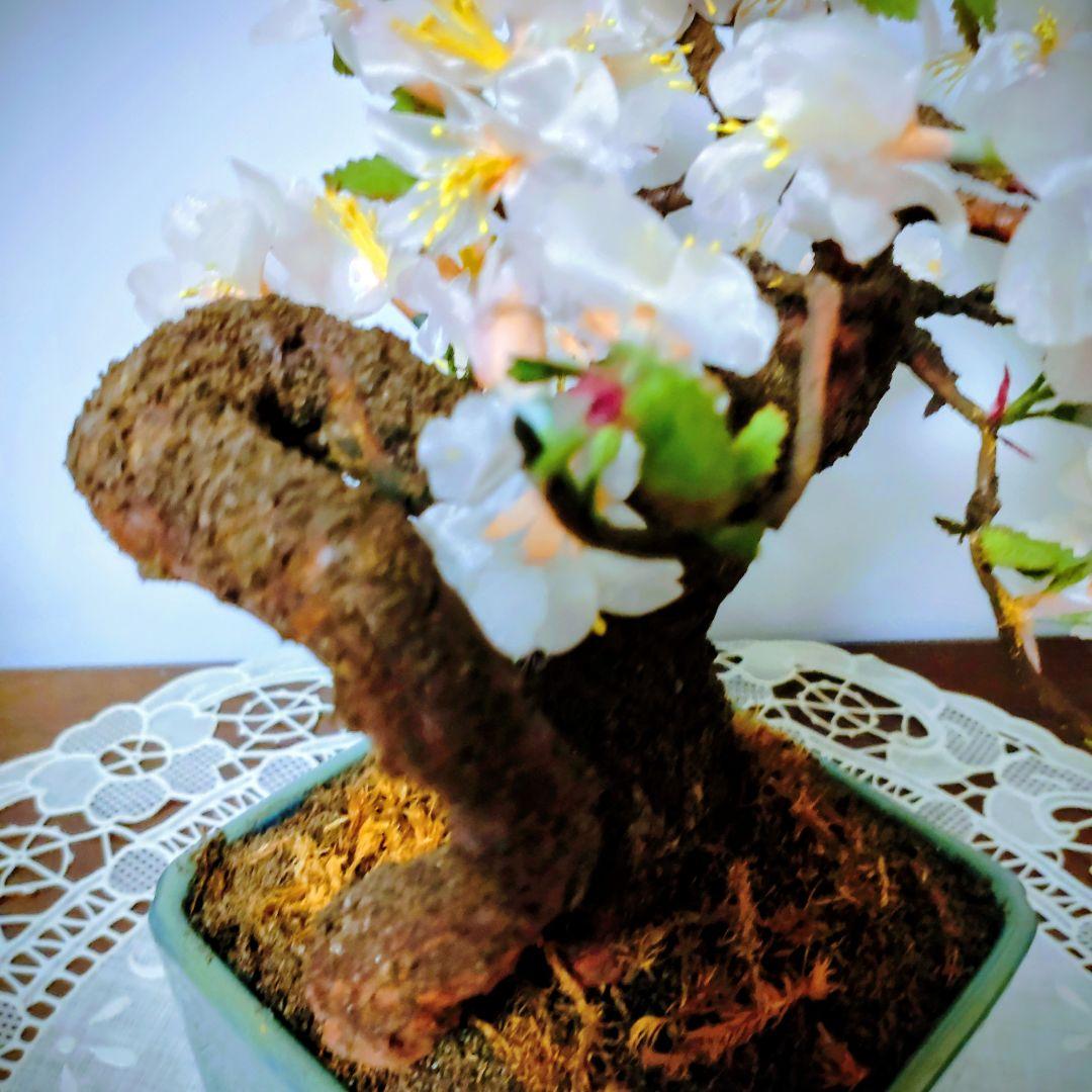桜の盆栽 　クラフト 桜の花　枝 　コケ 全て手作り です