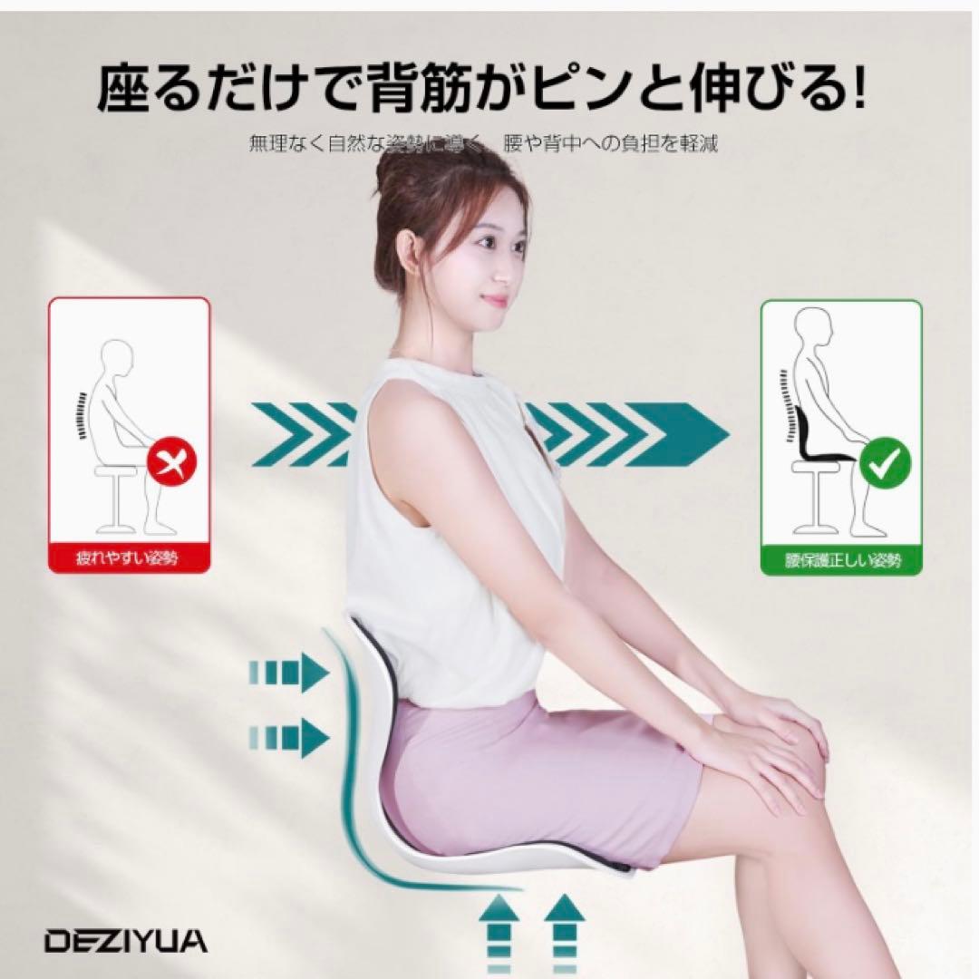 姿勢サポート 椅子 骨盤から腰をサポート 高反発メモリー綿 腰当て　2個セット