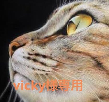 vicky　ロイヤルカナン 猫　デンタルケア　400g 8袋