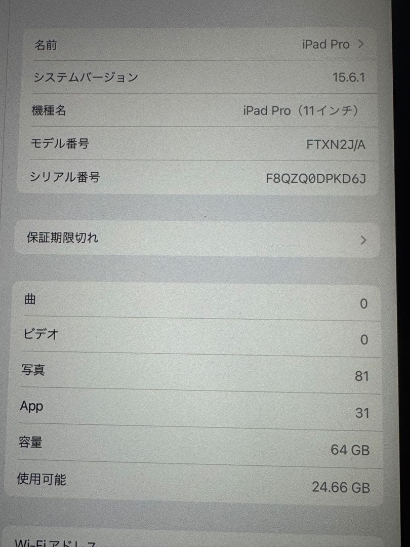 Apple iPad Pro 11インチ　スペースグレー 本体