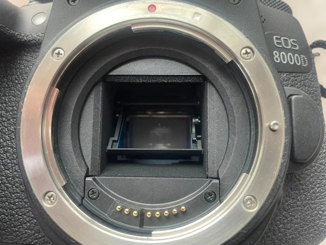 Canon EOS 8000D ダブルズーム　充電器付　動作OK
