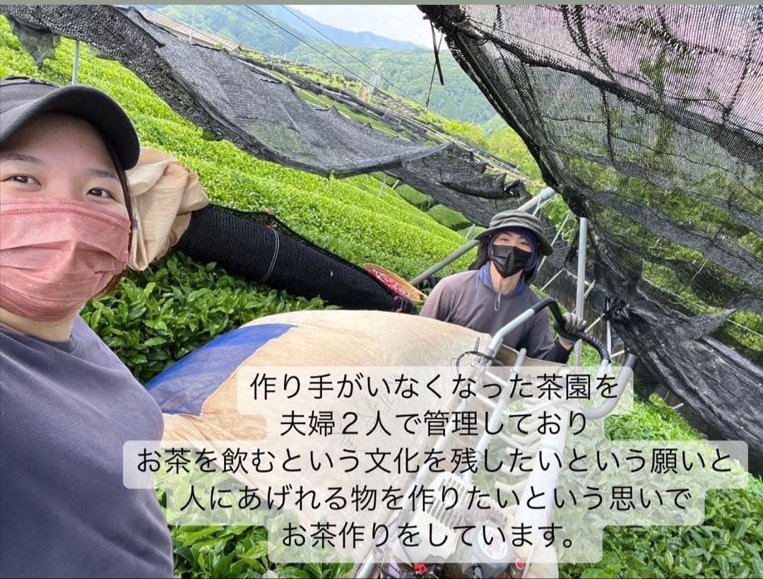 【8/8-8/11まで】夏のお茶5種類飲み比べセット(計40個入り)