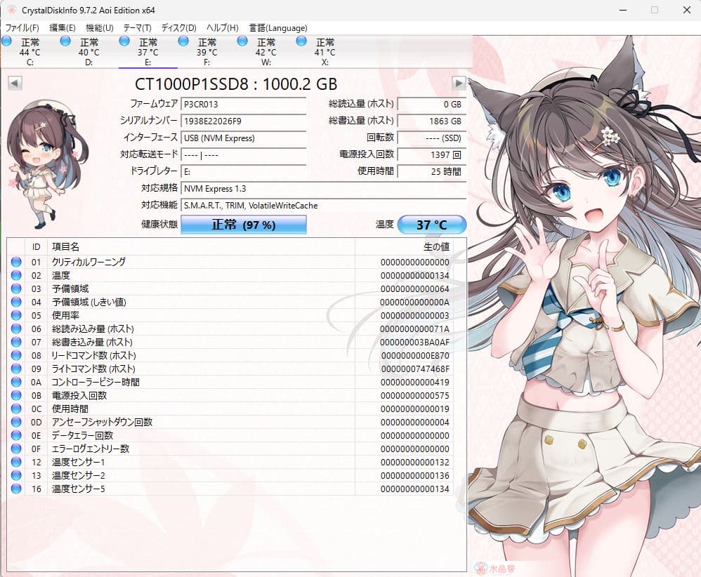 Crucial NVMe CT1000P1SSD8 1TB USBケース付き
