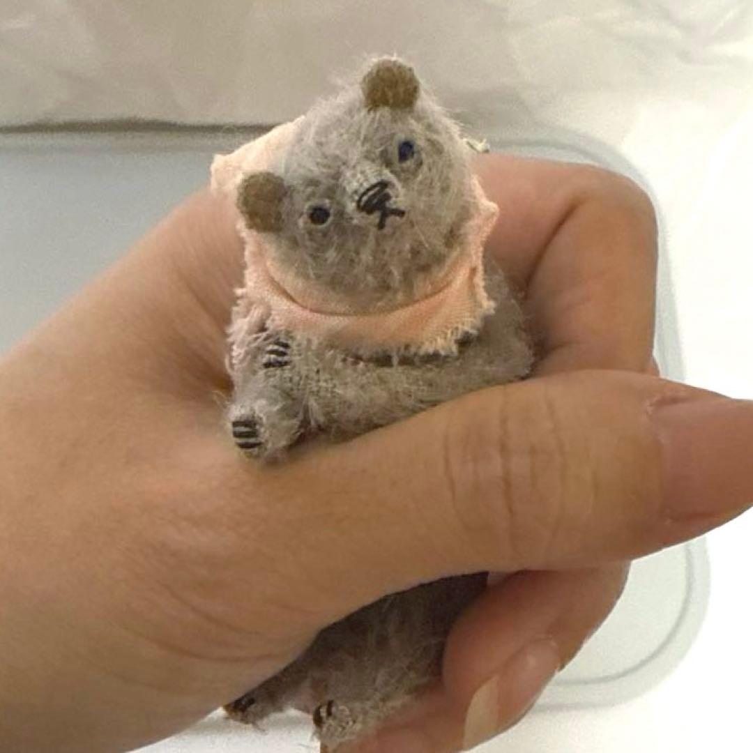 国内人気作家様 HARUBEAR ちいくた ベア 携帯容器付き テディベア