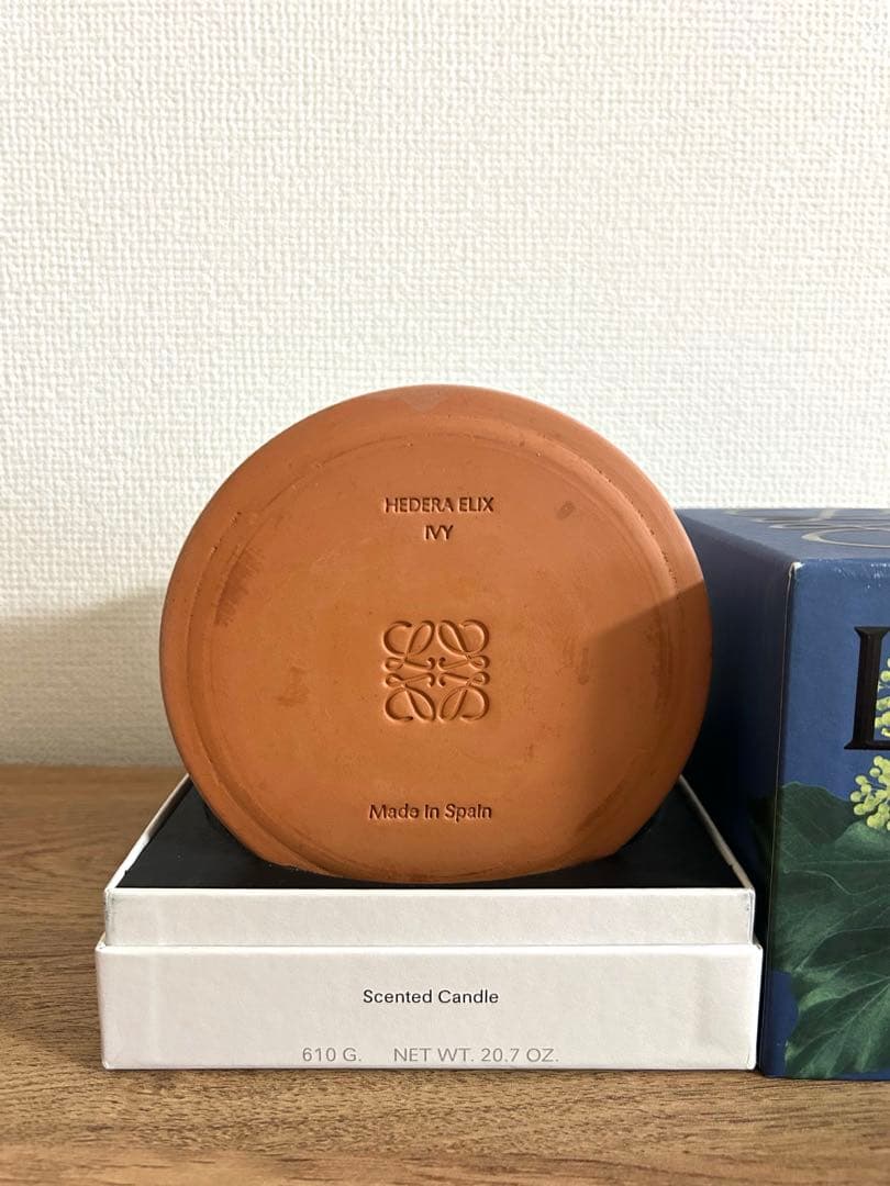 LOEWE アイビーキャンドル ミディアム ピンク 610