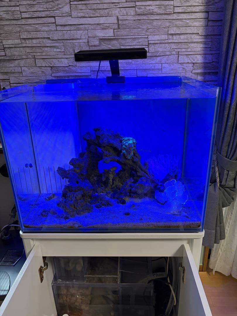 ライト・照明器具 ZOOX OPTIMUS Reef Nano2
