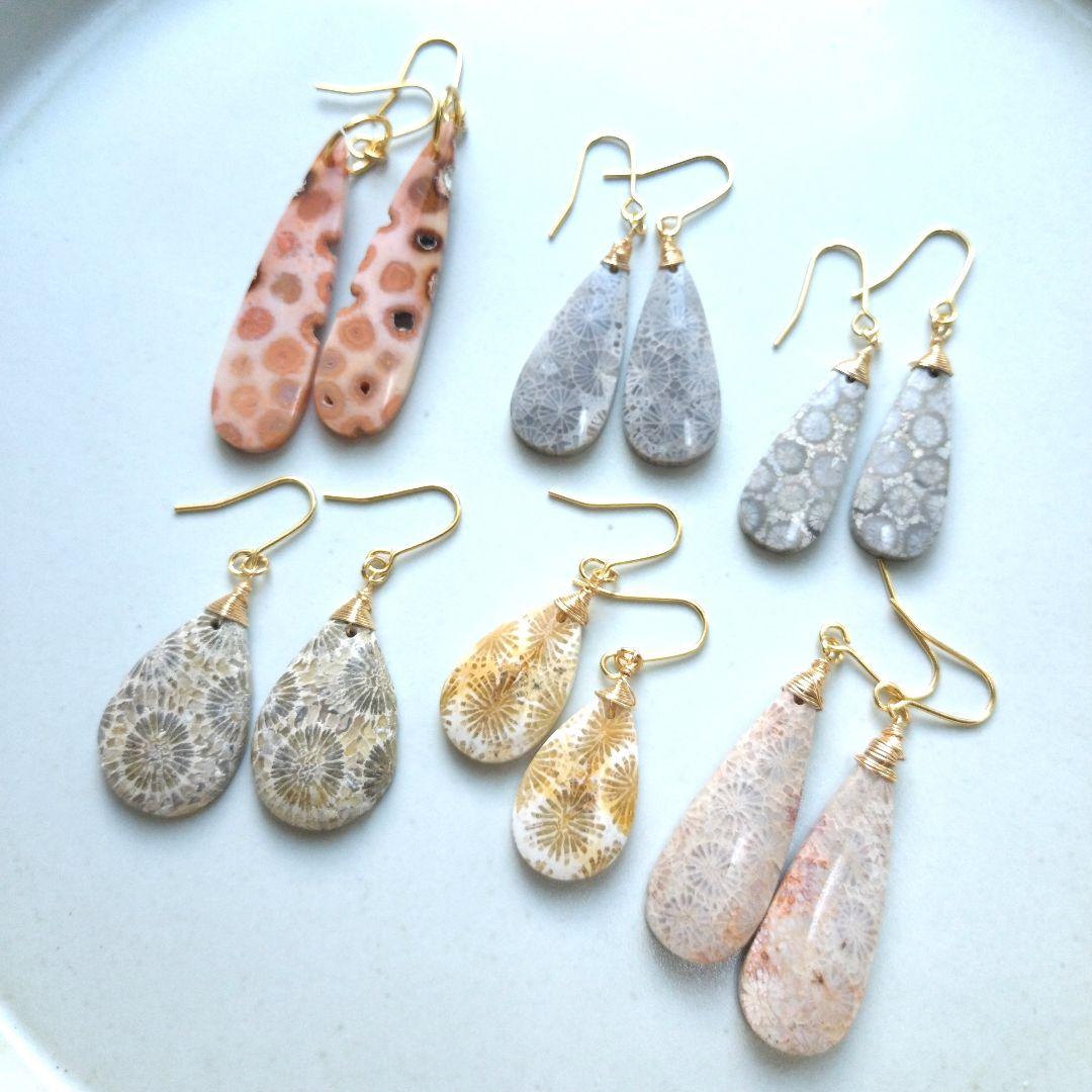 【A】珊瑚の化石 フォッシルコーラルのペアシェイプ ピアス