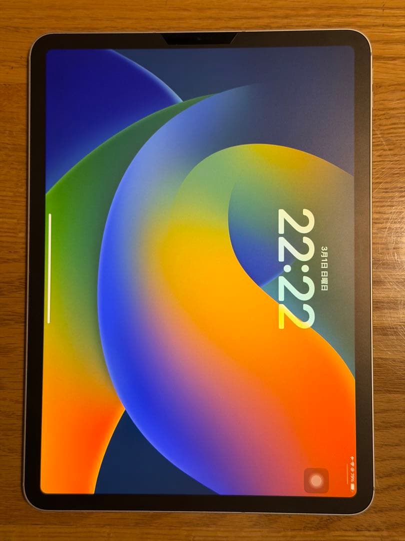 【16GB RAM】iPad Pro 11インチ 1TB M2 セルラー