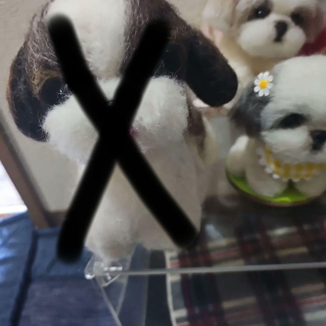 羊毛フェルト　　シーズー　5匹セット　犬